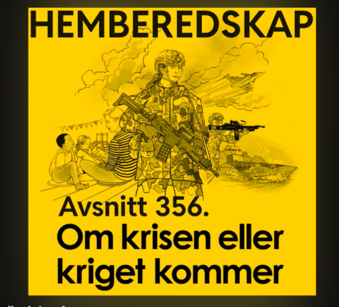 Tøffe kvinner skal være Sveriges krigere, pinglete menn skal ta vare på barna
