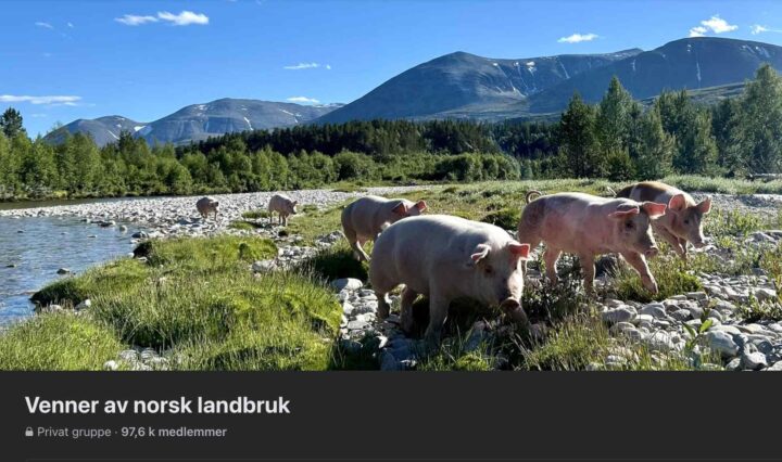 Facebook-gruppe styrt av gammel&shy;kommunist sletter metan&shy;hemmer-kritikk