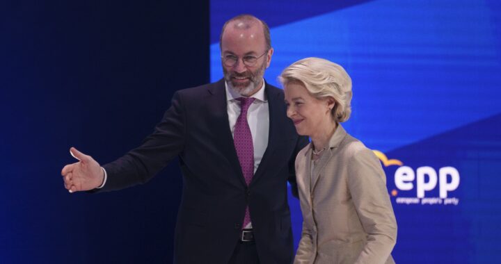 EU-parlamentets største gruppe vil stanse forbudet mot bensin- og diesel­biler