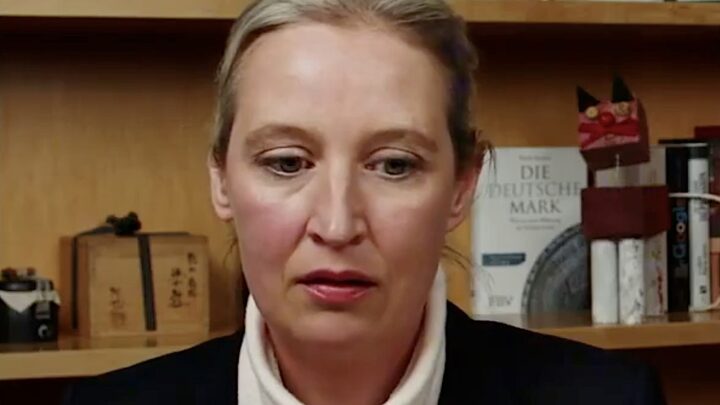 AfD seiler i medvind før valget i Tyskland