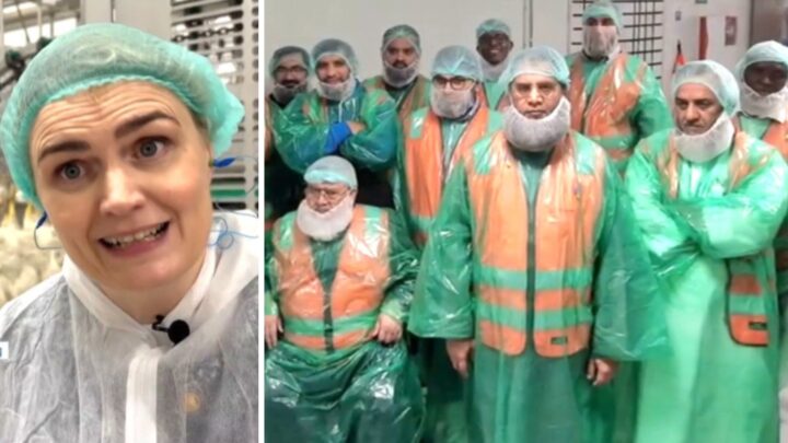 Rema-kyllingen godkjent av minst 12 imamer