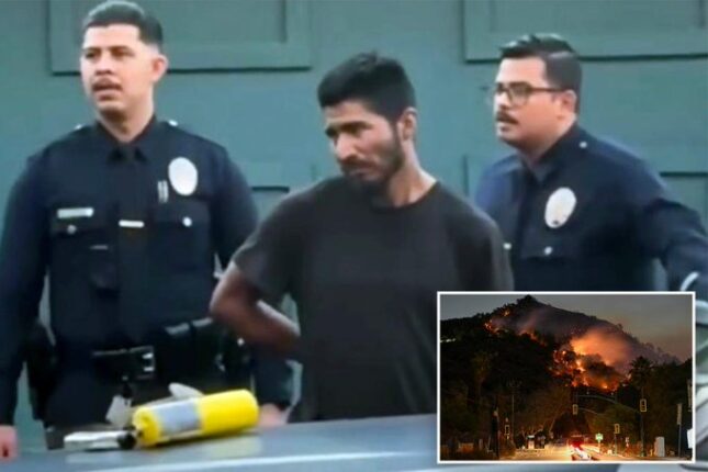 Brannstifter pågrepet av borgere i California er ulovlig migrant