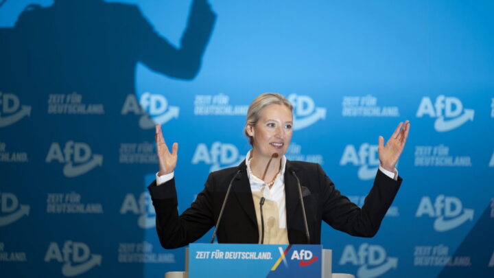 Alternative für Deutschland (AfD) er det eneste alternativet