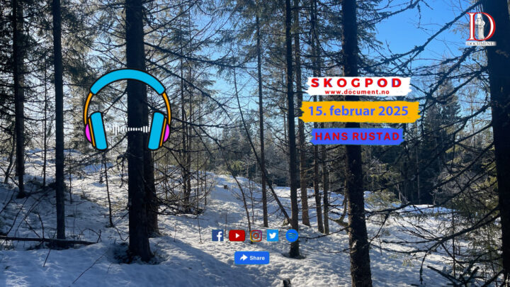 Skogpod  15. februar 2025