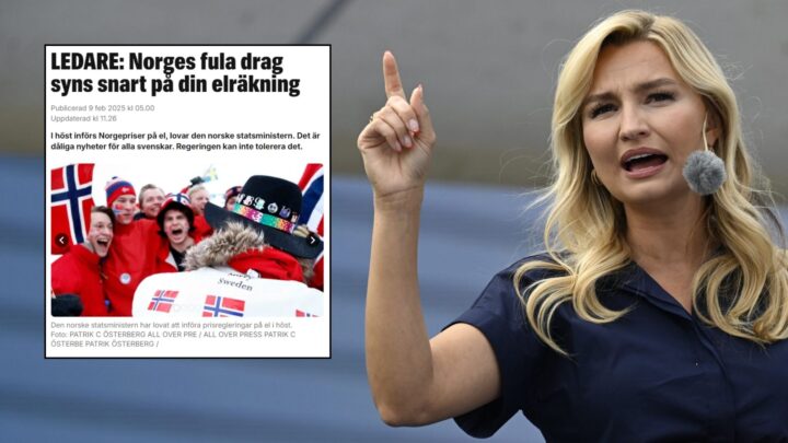 Svenskene sutrer over lave norske strømpriser: Truer med å kutte strømmen