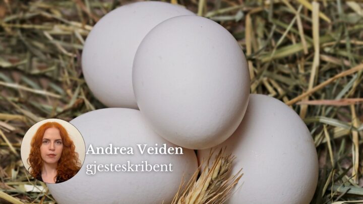 Millioner av egg ødelagt – men er litt ekstra vitamin D virkelig farlig?