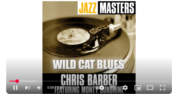 Interlude: Wild cat blues