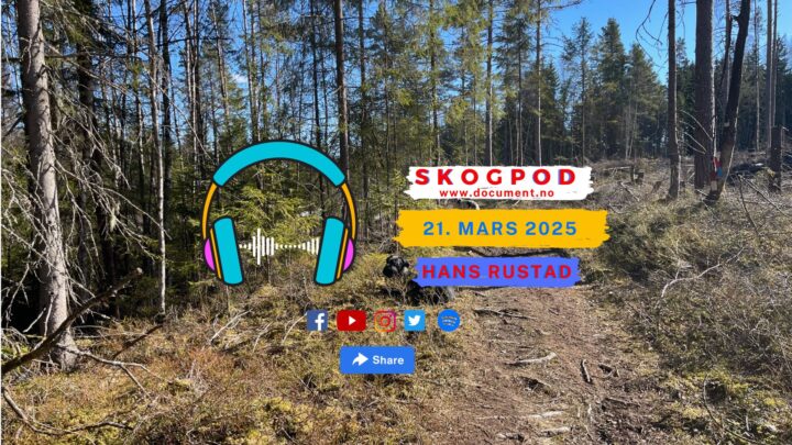Skogpod 21. mars 2025
