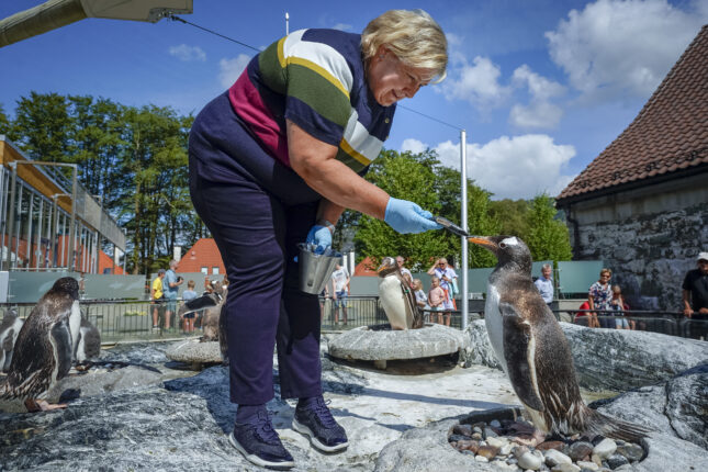 Er Norge «i verdensklasse» på håndtering av vaksineskader?