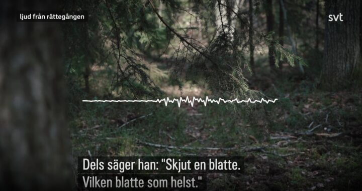 395 ungdommer i Sverige er mistenkte for drap - SVT vrir det til et rasistisk problem