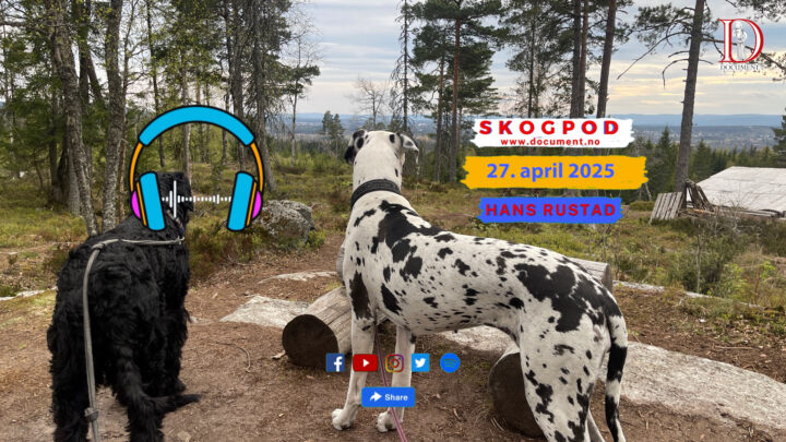 Skogpod 27. april 2025