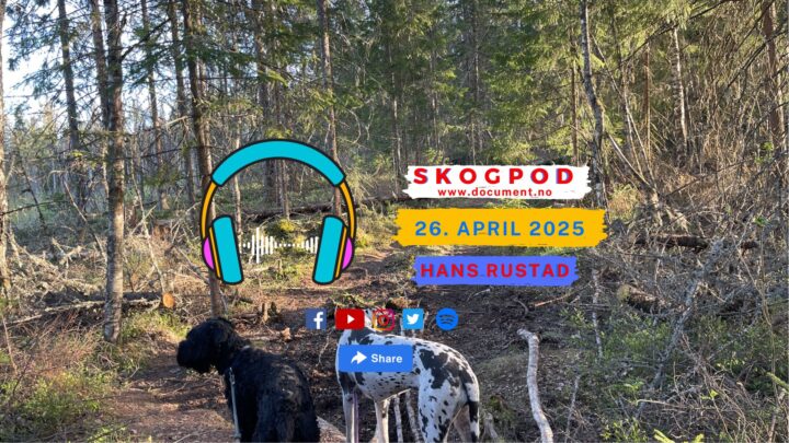Skogpod 26. april 2025