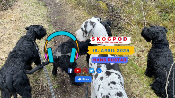 Skogpod 19. april 2025