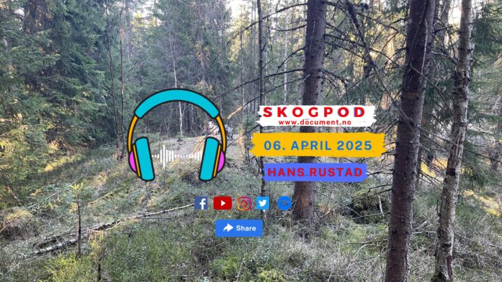 Skogpod 6. april 2025