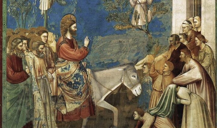 Jesu inntog i Jerusalem (1304-06).