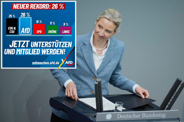 AfD topper tysk menings&shy;måling for andre gang