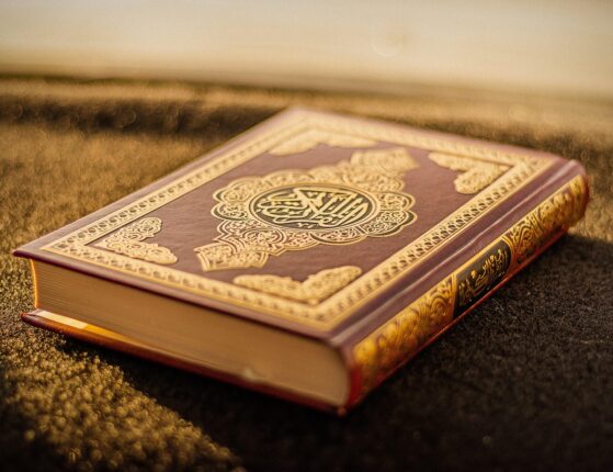 Sverige: Aktivist for Den islamske staten (IS) får 780.000 kroner i erstatning