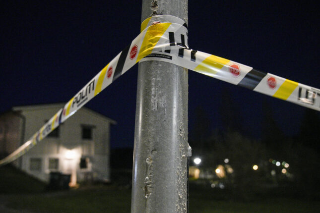 Mann skutt i beinet av politiet i Sigdal