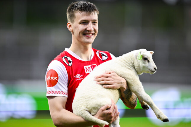 Brynes «man of the match» fikk lam i premie, Dyre&shy;beskyttelsen raser