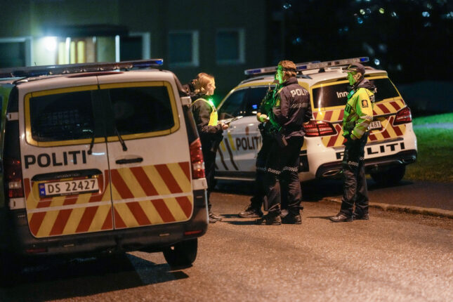 «Svensk» ransgjeng slo til hos familie i Oslo: Småbarn teipet fast, mor truet med skudd i hodet