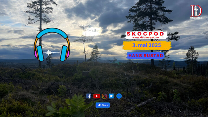 Skogpod 3. mai 2025