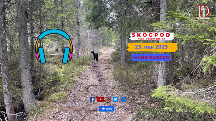 Skogpod 30. mai 2025