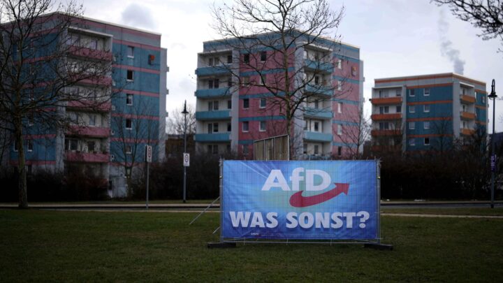 Tysk menings­måling: 48 prosent vil forby AfD