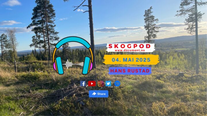 Skogpod 4. mai 2025