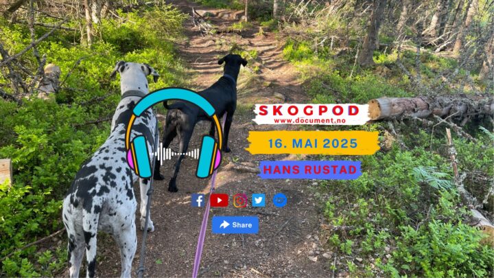 Skogpod 16. mai 2025