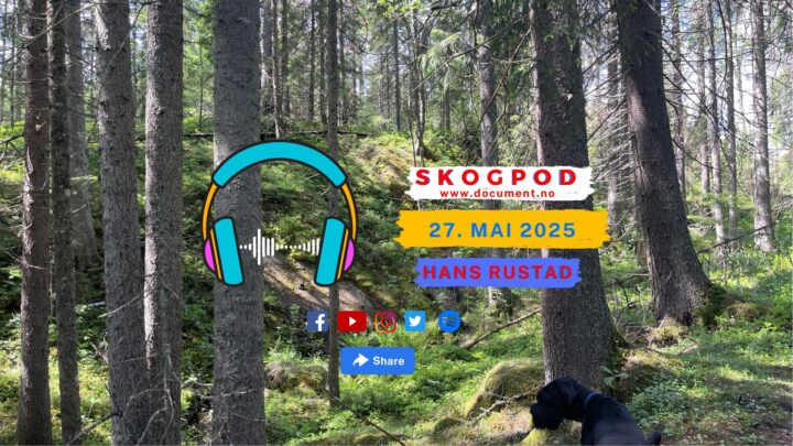 Skogpod 27. mai 2025