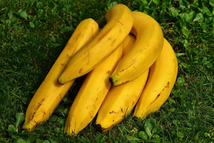 Panama erklærer unntakstilstand på grunn av banan-uroligheter