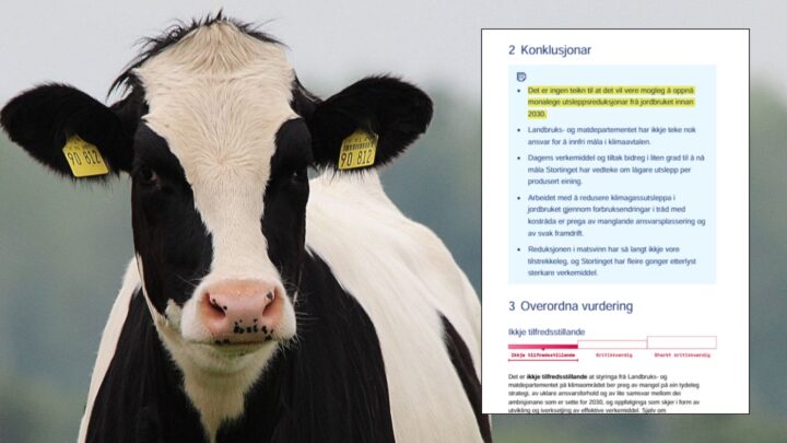 Alt er basert på tull: Riksrevisjonen knuser Bovaer-prosjektet