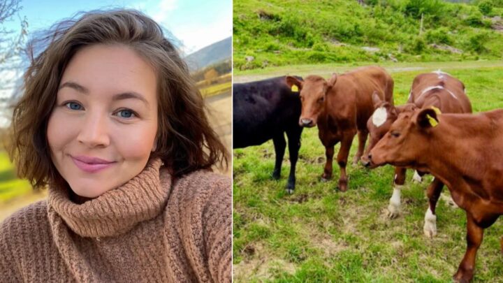 Lise (31) har mobilisert over 22.000 mot Bovaer: – Helt utrolig