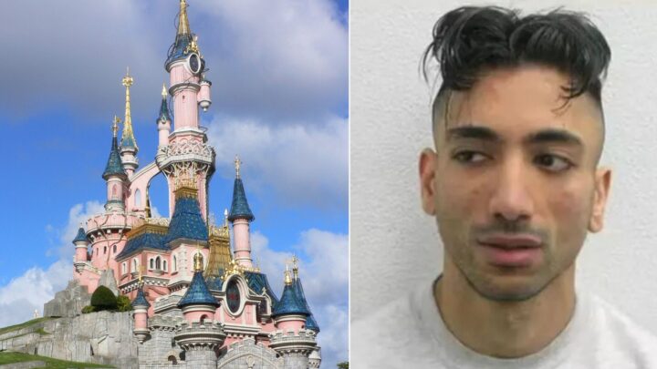 Pedofil tiltalt etter at han organiserte «bryllup» med 9 år gammel jente i Disneyland