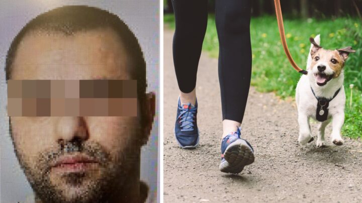 Tyskland: Iransk migrant kvalte nesten kvinne til døde med hundebånd