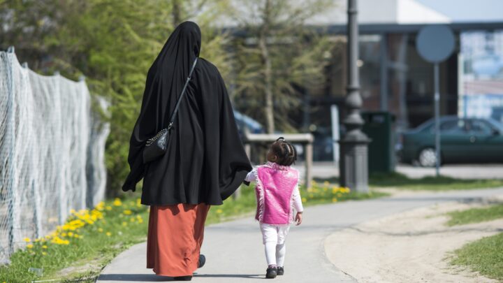 Dansker havner i mindre­tall i Danmark før år 2100, viser prognose