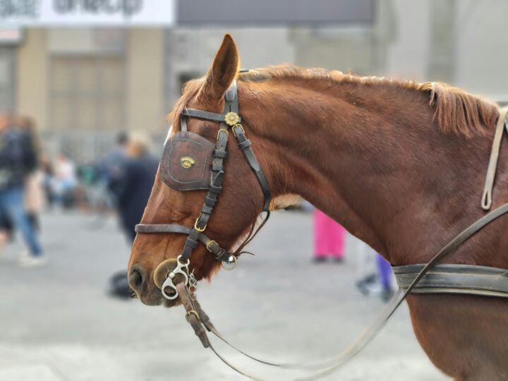 Den norske selvbedraget: Lille Norge skal redde verden