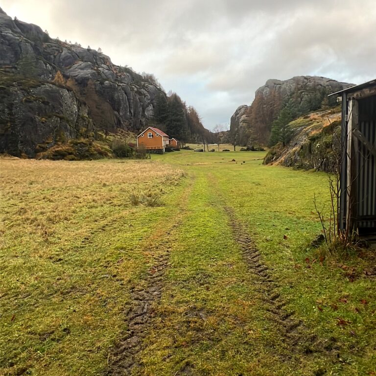 Liv og røre i heile Norge?