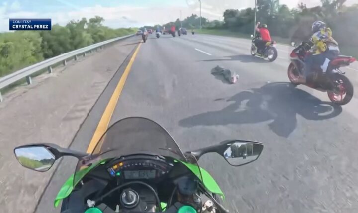 Motorsyklister kolliderte med alligator på motorvei i Florida