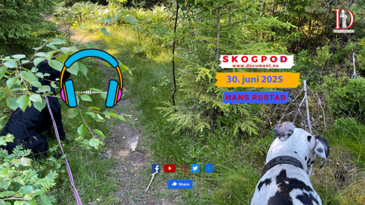 Skogpod 30. juni 2025