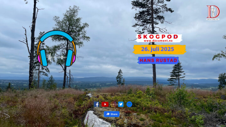 Skogpod 26. juli 2025