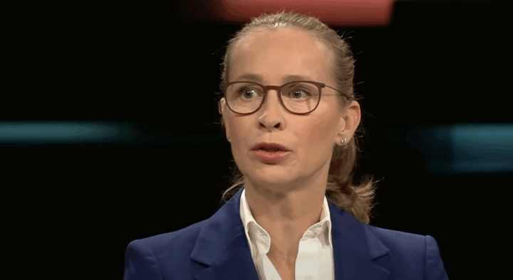 Kandidat som vil forby AfD klar for Forfatnings&shy;domstolen