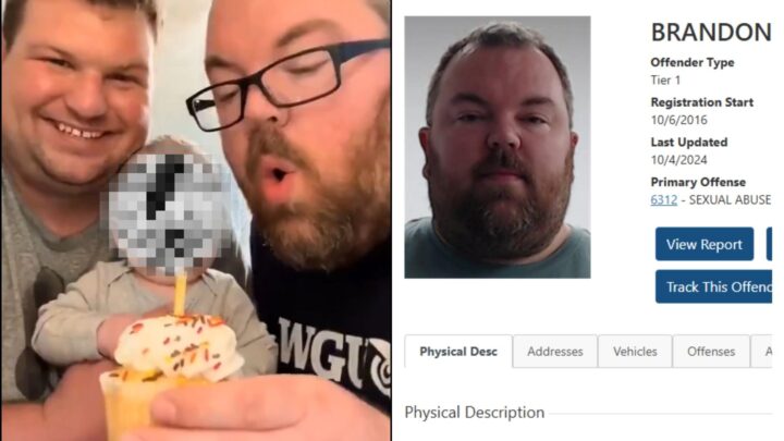 Skandale går viralt: Dømt pedofil får nyfødt sønn via surrogati