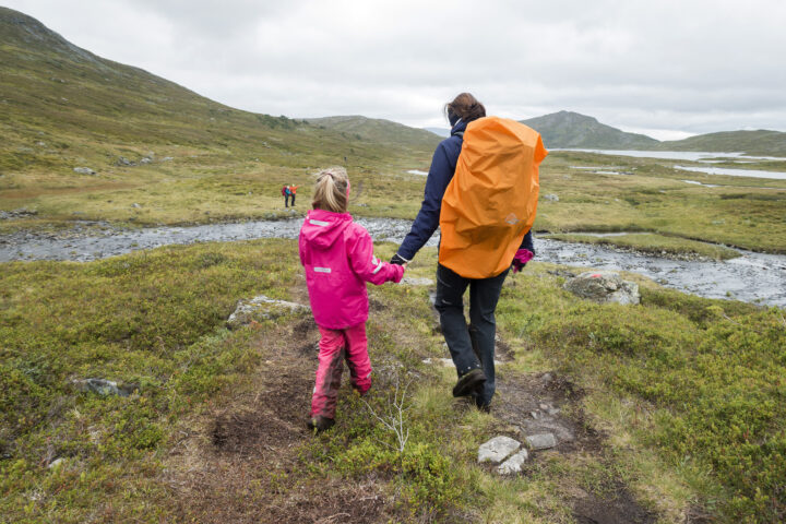 Norsk maksimalisme – et globalistisk narrespill