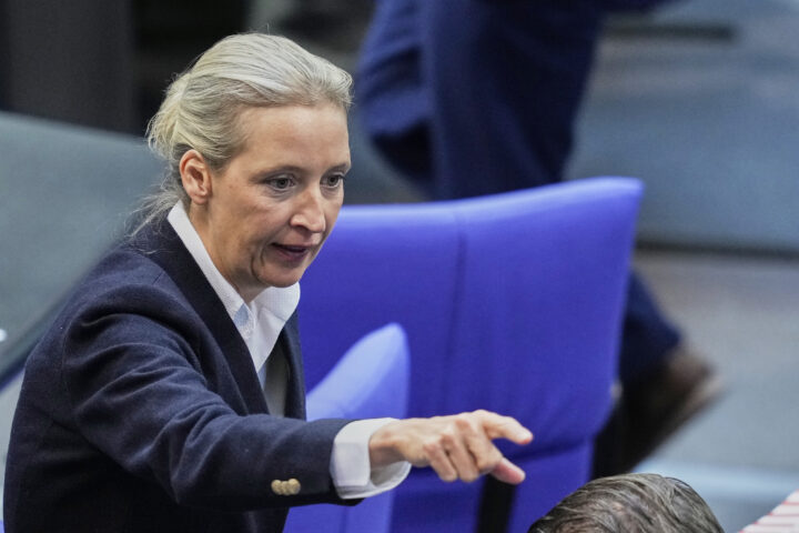 Tyskere skeptiske til forbud mot AfD