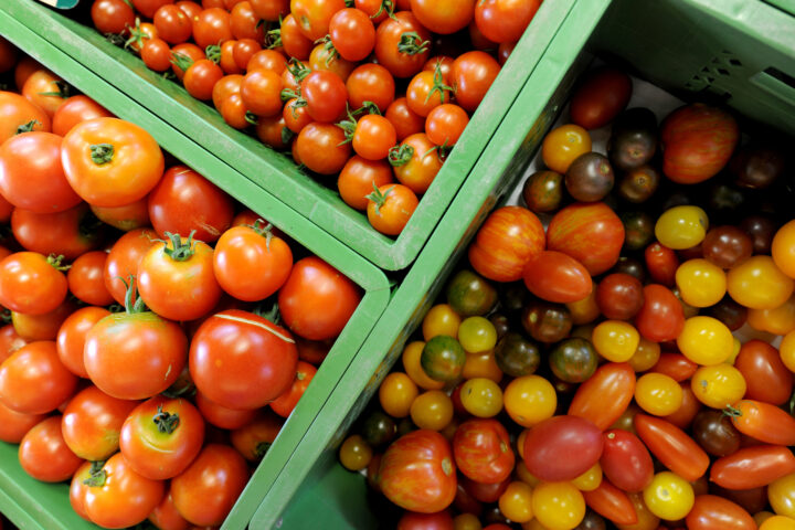 Michelle Pfeiffer advarer mot Bill Gates-støttet matkonservering: – Økologisk mat er ikke lenger trygt