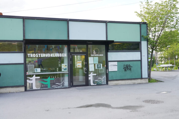 Når tallene avslører integreringens skjulte utfordringer