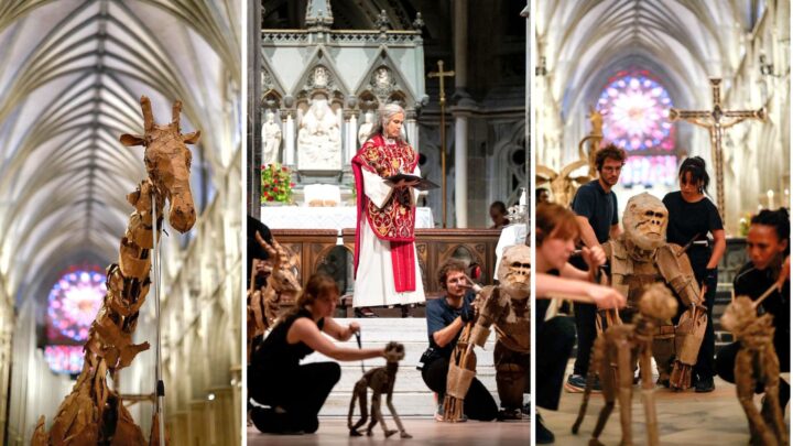 Olavsfest: Fylte Nidaros­domen med dyrene i Afrika i olsok­høymessen