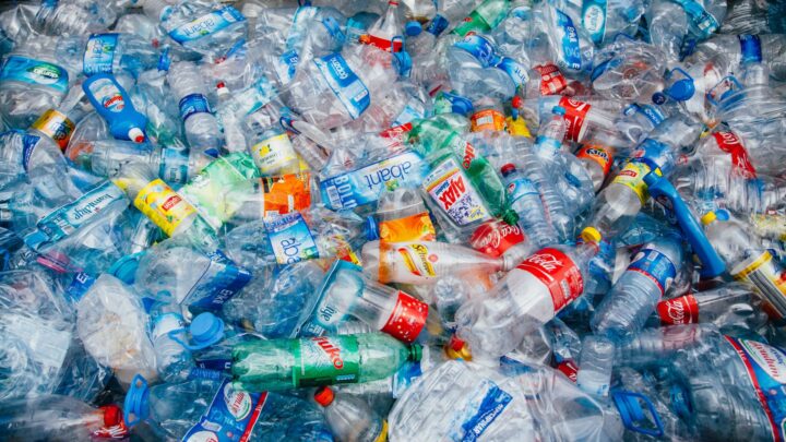 Flere hundre&shy;tusener døde av plast i kroppen