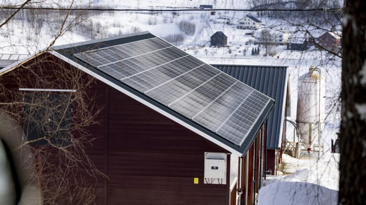 Den grønne kollapsen XXX: Total svikt for norsk solkraft